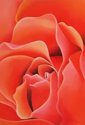 Die Rose, 2003